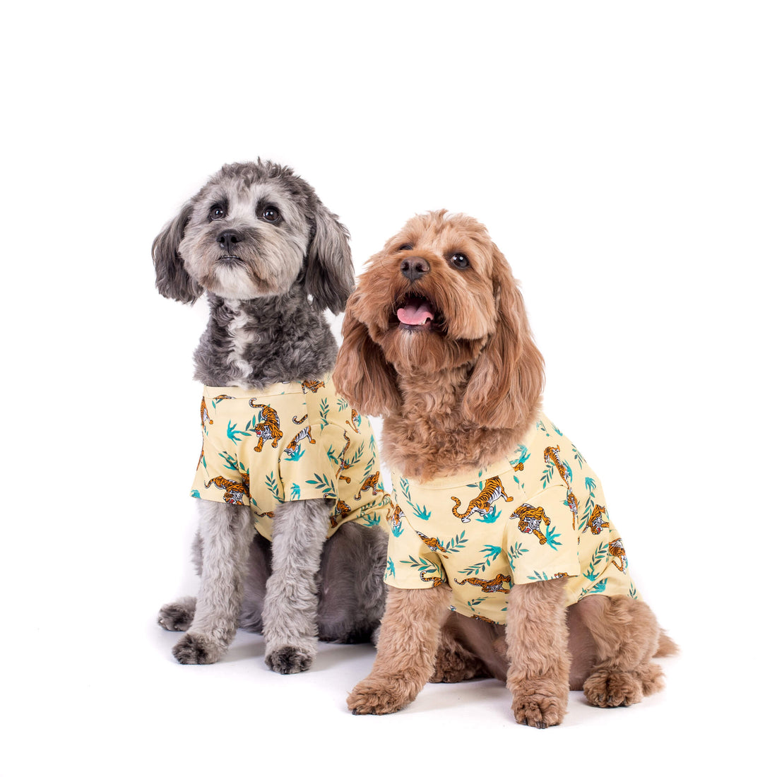 Worried Your Dog Has Sensitive Skin? Here Is What You Need To Know