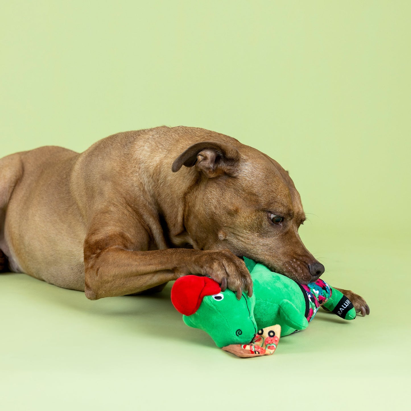 Fringe Studio Pizzasaurus Rex dinosaur plush squeaky dog toy with a dog
