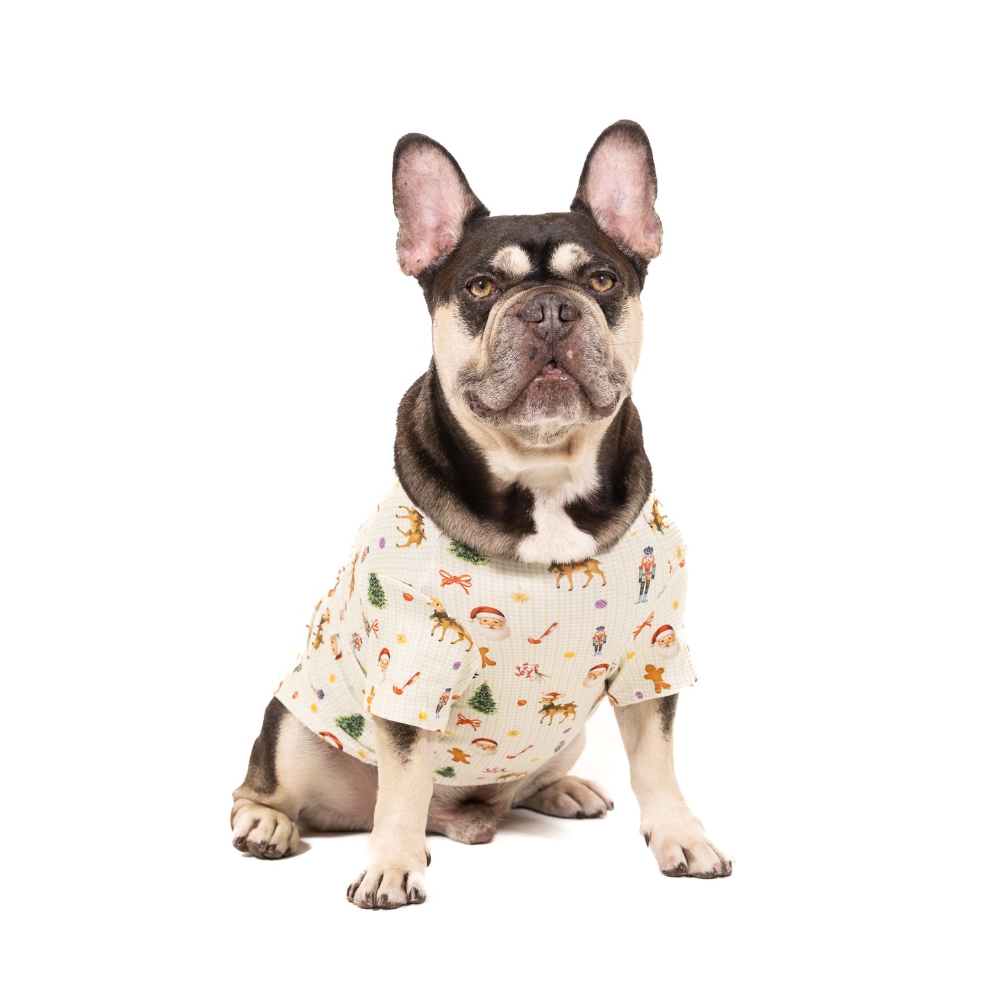 Chocolate tan French Bulldog wearing a festive Christmas dog shirt with Santa, reindeer, nutcracker, candy cane, and holiday icons against a cream gingham background.