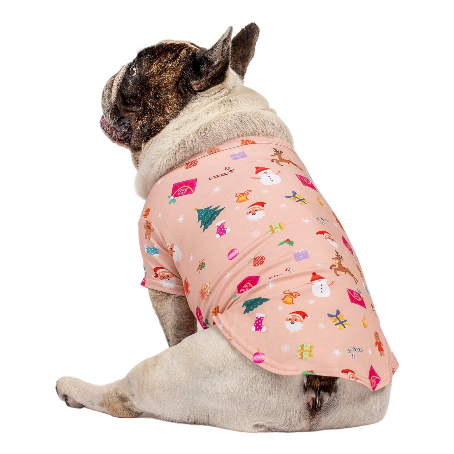 A brindle pied French Bulldog facing away wearing Vibrant Hounds Dear Santa Christmas dog shirt.