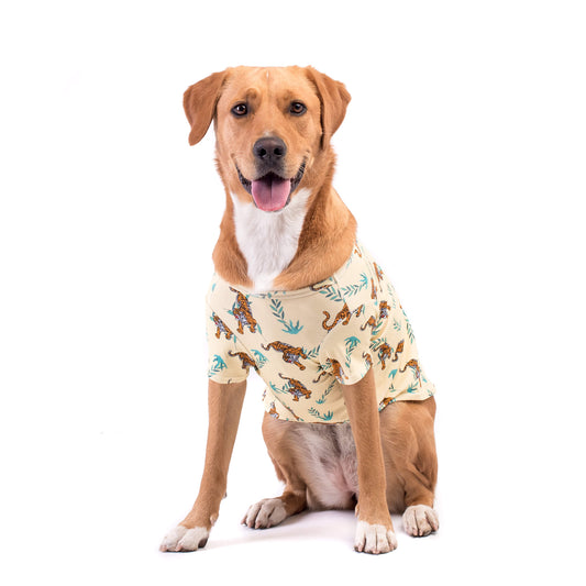 Golden Retriever wearing a Wild Child dog shirt by Vibrant Hound - Yellow shirt with orange tiger print