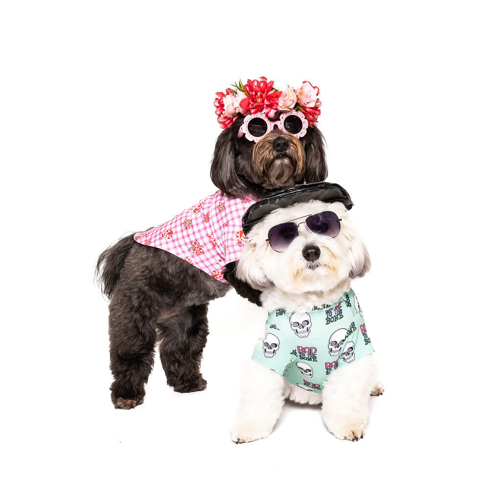 Two small dogs posing together – one in a pink gingham ladybug dog shirt with flower crown and sunglasses, and the other in a mint green ‘Bad to the Bone’ dog shirt with skull print and aviator sunglasses.
