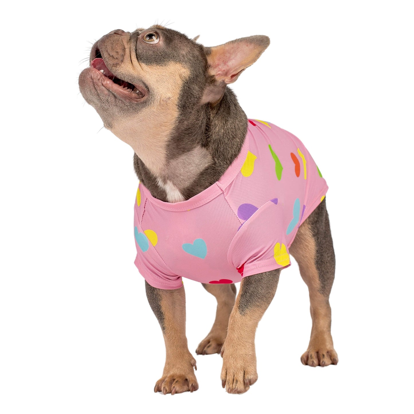 A french bulldog wearing a pink shirt with orange, blue, yellow, and green love hearts printed on it. This shirt for dogs is designed to be wet to cool dogs down.