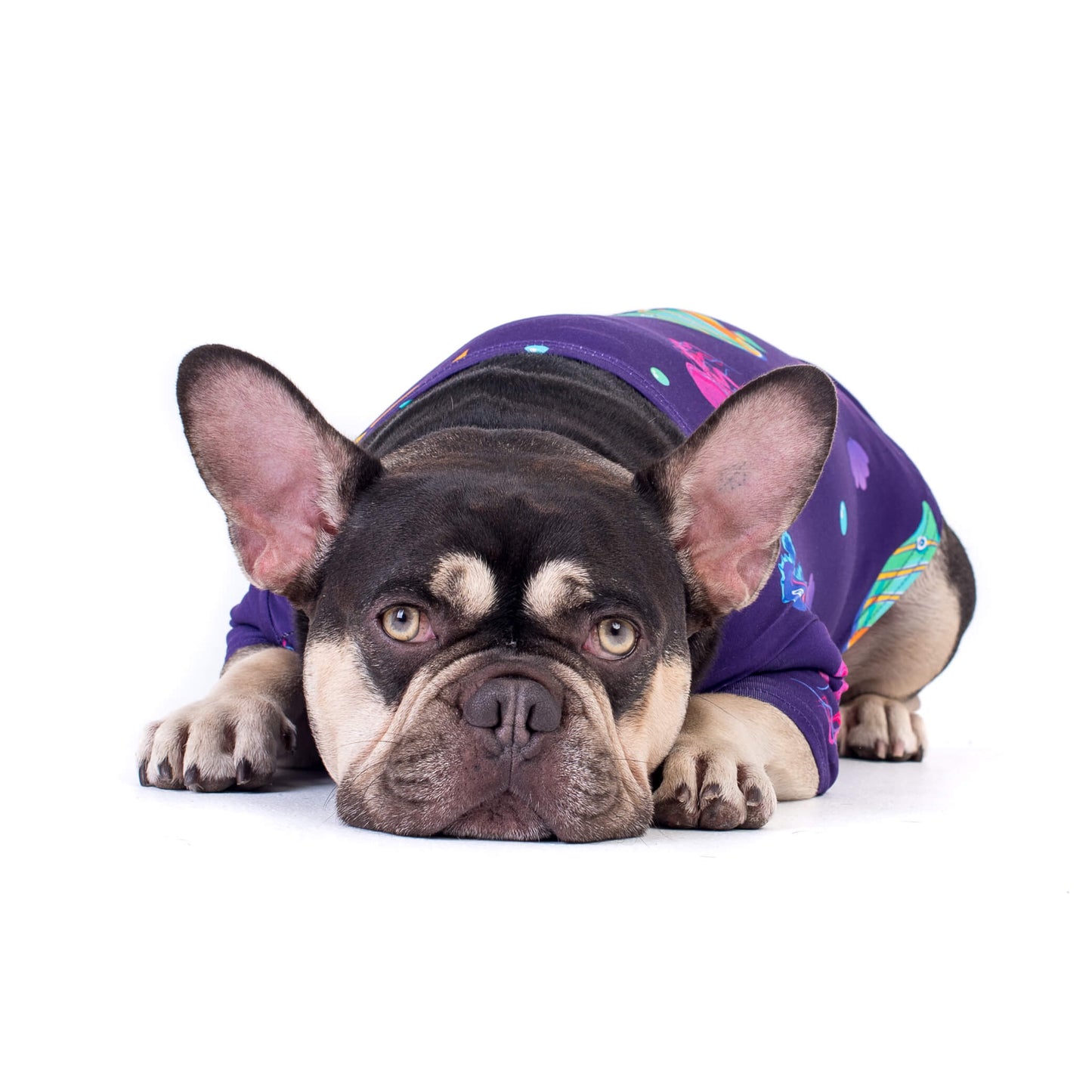 A chocolate and tan French Bulldog wearing the "Magic Sea" shirt by Vibrant Hound. The shirt is purple with vibrant tropical fish printed on it. The dog is lying down, showcasing the colorful design.