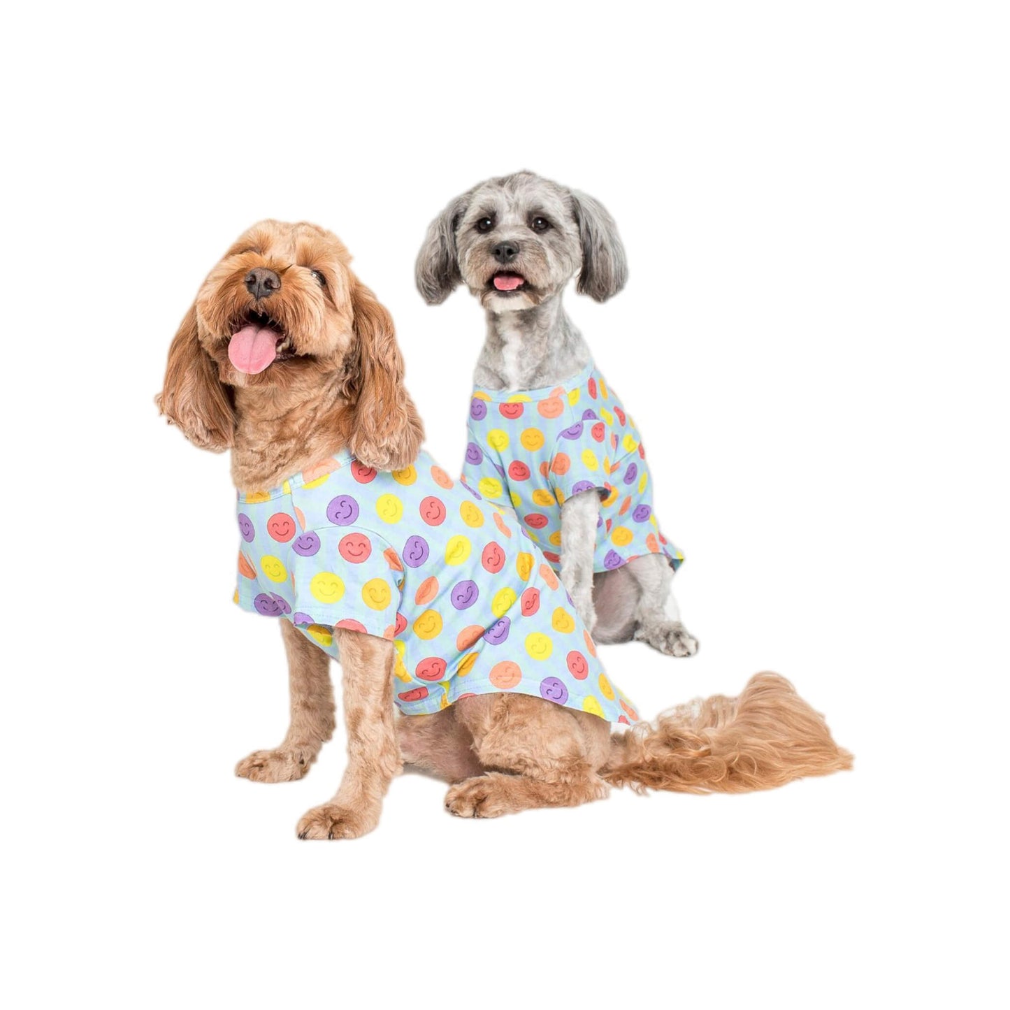 Two Cavoodles wearing a Vibrant Hound good vibes dog shirt. The shirt is light blue with bright multi coloured smiley faces. Edit alt text