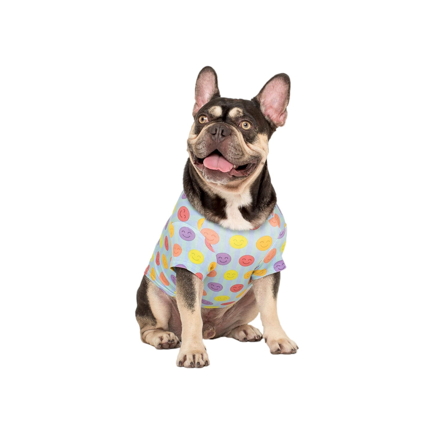 A French Bulldog wearing a Vibrant Hound good vibes dog shirt. The shirt is light blue with bright multi coloured smiley faces. Edit alt text
