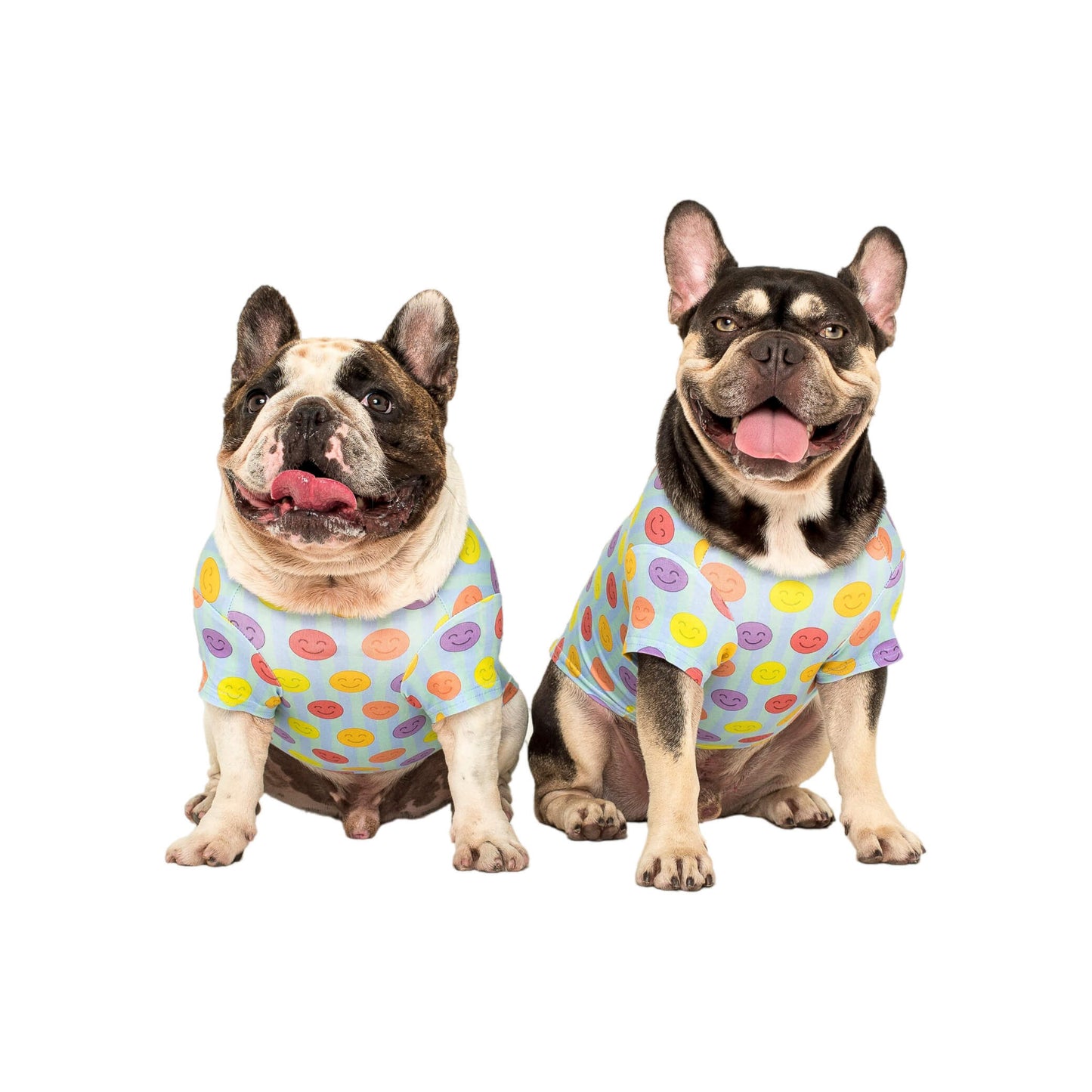 Two French Bulldog's wearing a Vibrant Hound good vibes dog shirt. The shirt is light blue with bright multi coloured smiley faces. Edit alt text
