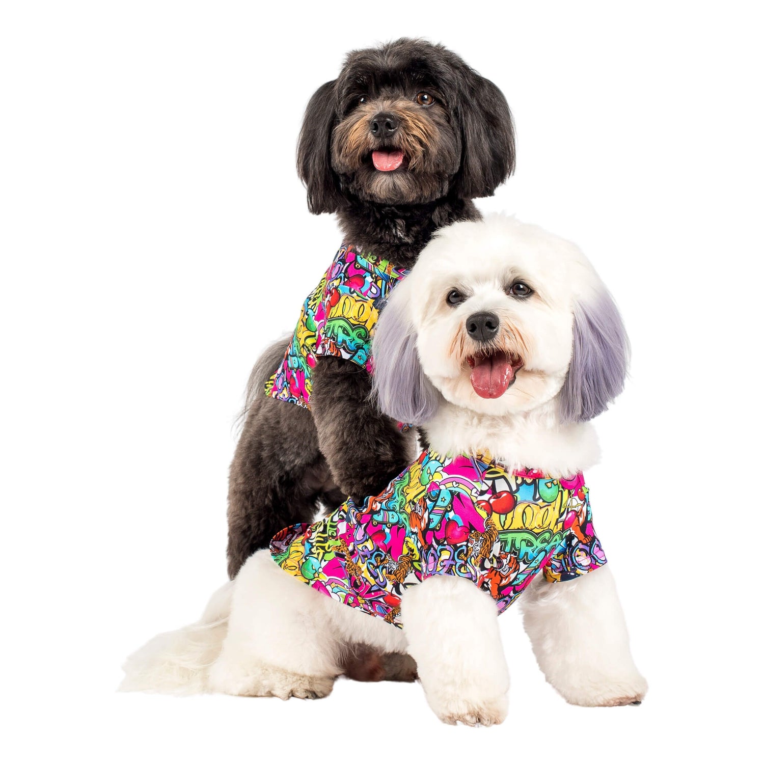 Shirts for dogs | Vibrant Hound