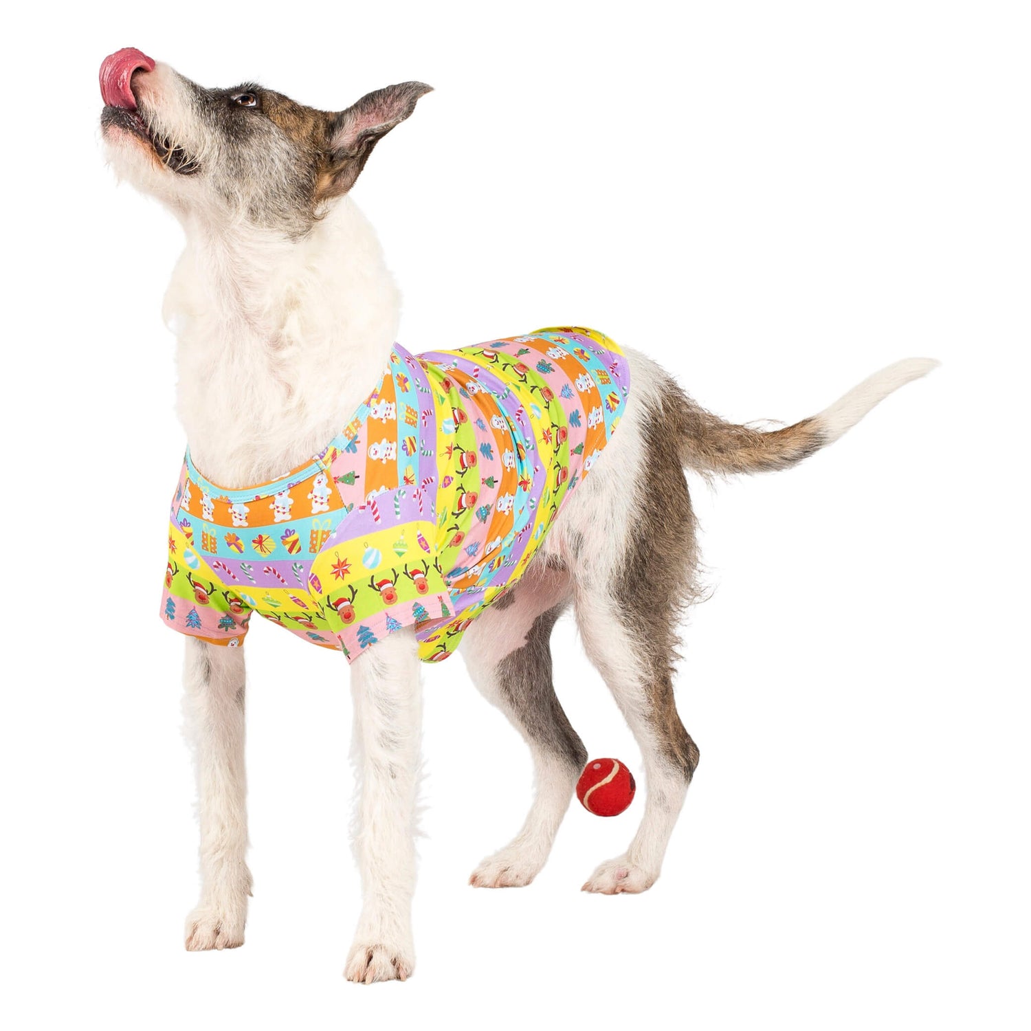 An Irish Wolfhound wearing VIbrant Hound's Electric Energy shirt for dogs. It is green, orange, pink, and purple stripes with reindeer, christmas trees, snowmen and christmas decorations printed on it.