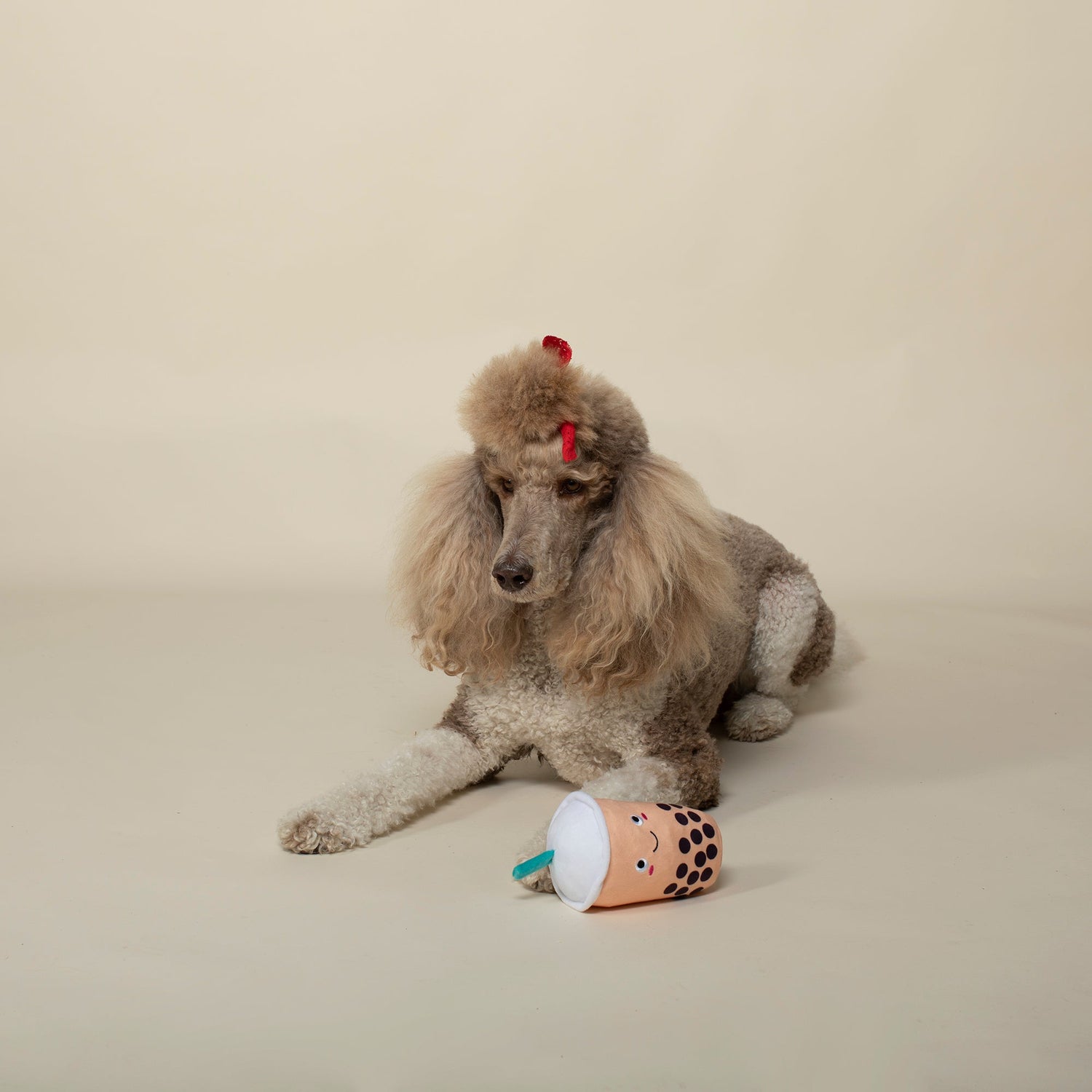 Fringe Studio It's Boba Time bubble tea plush squeaky dog toy with a dog