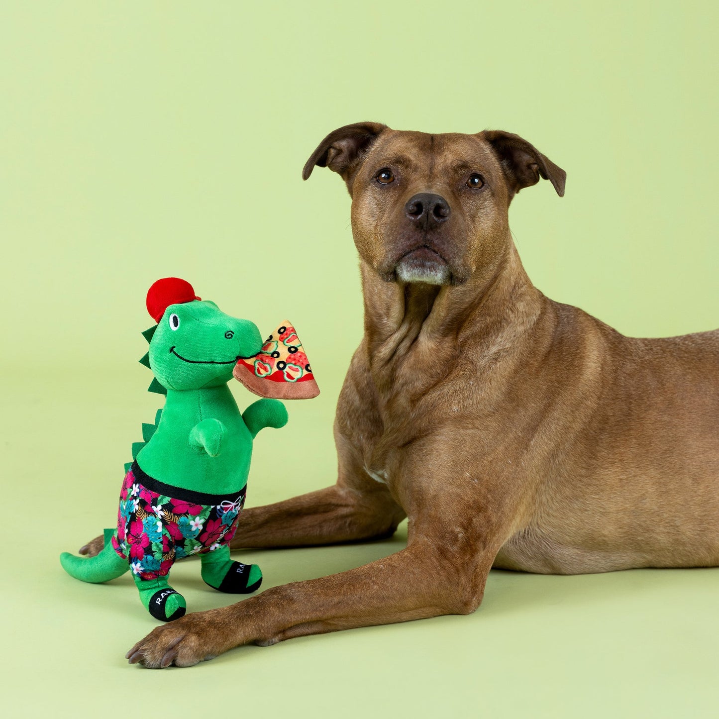 Fringe Studio Pizzasaurus Rex dinosaur plush squeaky dog toy with a dog