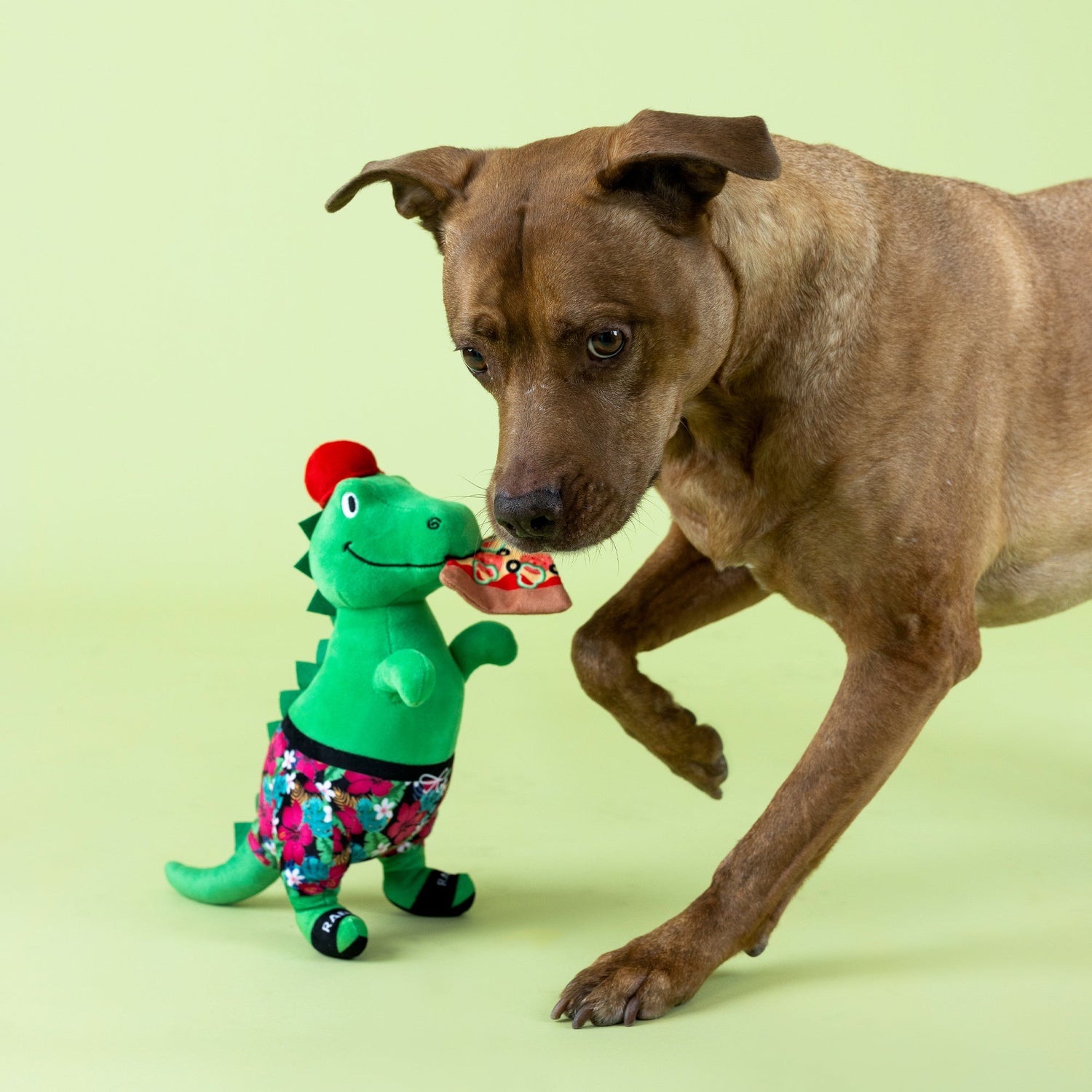 Fringe Studio Pizzasaurus Rex dinosaur plush squeaky dog toy with a dog
