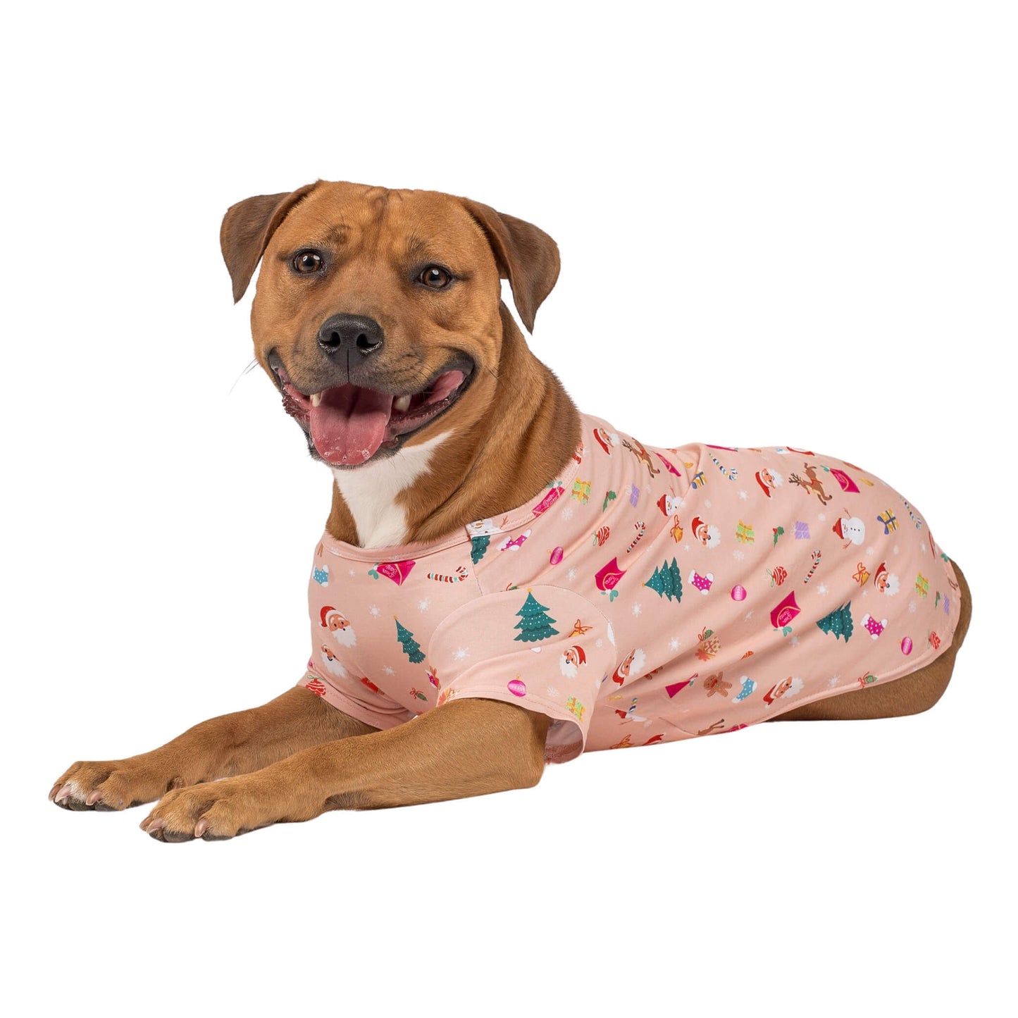 Arlo the Staffy laying down wearing Vibrant Hounds Dear Santa shirt for dogs.