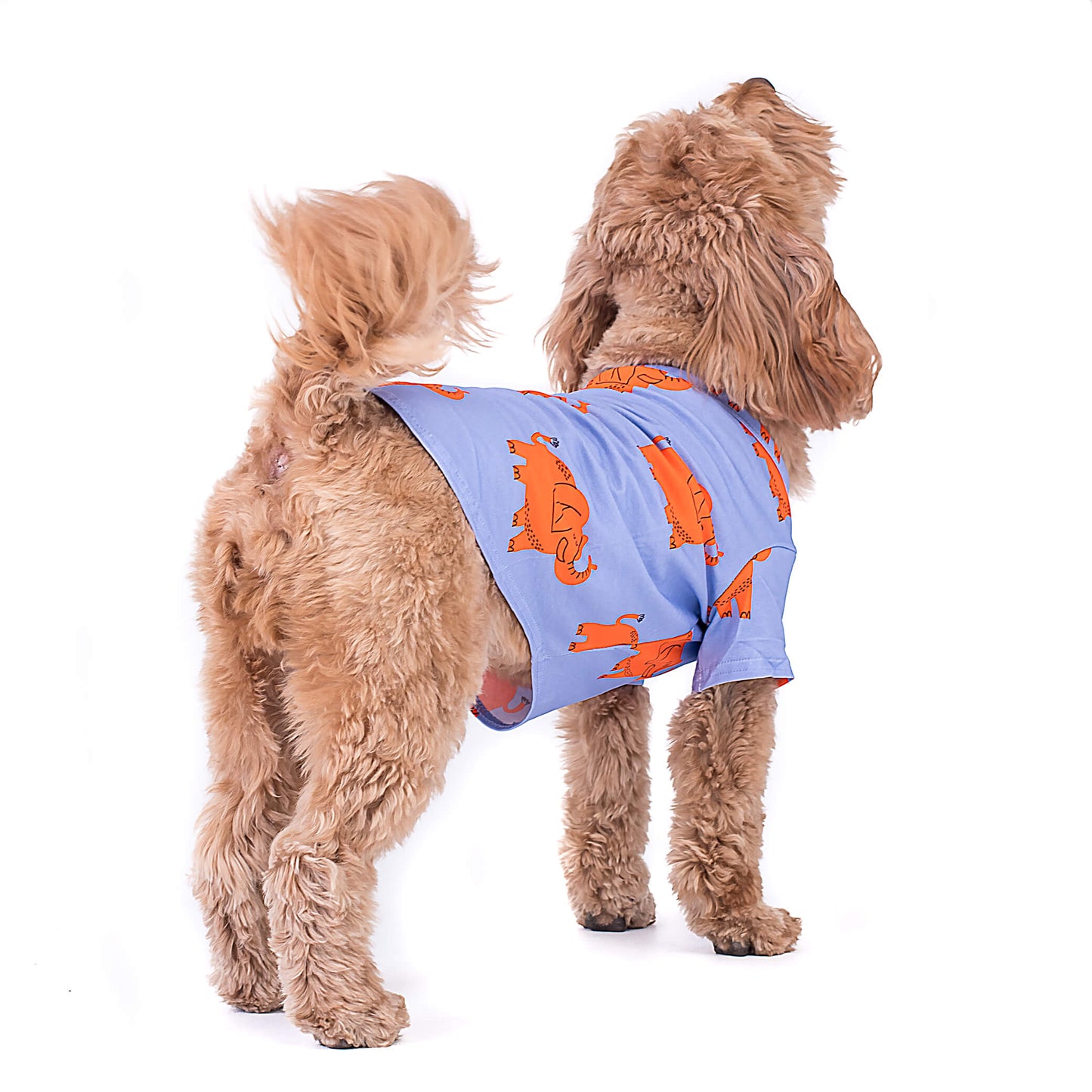 A cavoodle standing facing away. It is wearing a Lilac Vibrant Hound shirt for dogs that is printed with orange elephants.