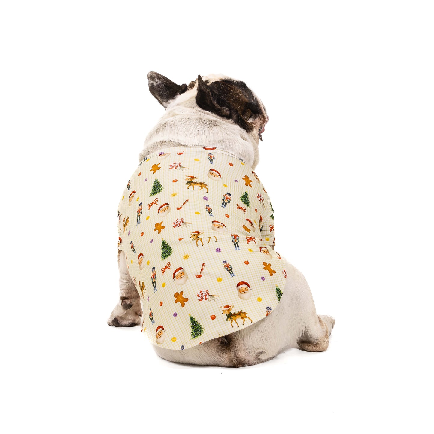 Brindle Pied French Bulldog facing away wearing a festive Christmas dog shirt with Santa, reindeer, nutcracker, candy cane, and holiday icons against a cream gingham background.