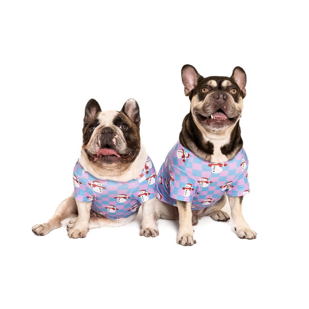 Two French Bulldogs, one brindle pied and the other chocolate tan wearing a blue and pink pastel color Christmas shirt for dogs with snowmen printed on it.