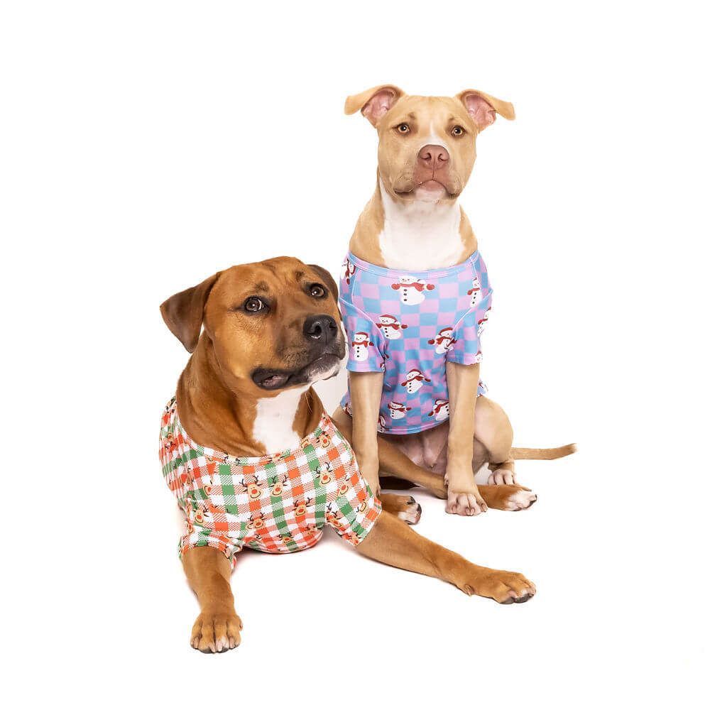 Two Staffy a blue and pink pastel color Christmas shirt for dogs with snowmen printed on it. The brown staffy is wearing a reindeer shirt with green and red stripes printed on it. 