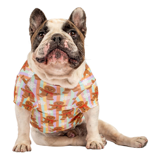 Chester the French Bulldog sitting down wearing VIbrant Hounds Gingerbread Cheer Christmas dog shirt.