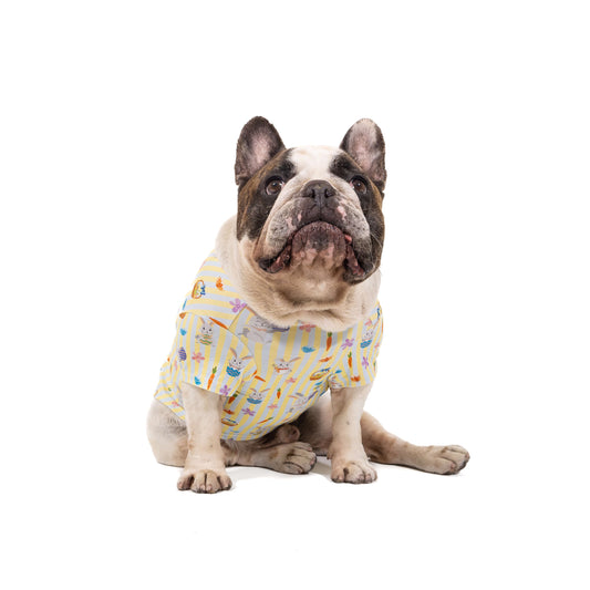Happy Bunny Dog Shirt