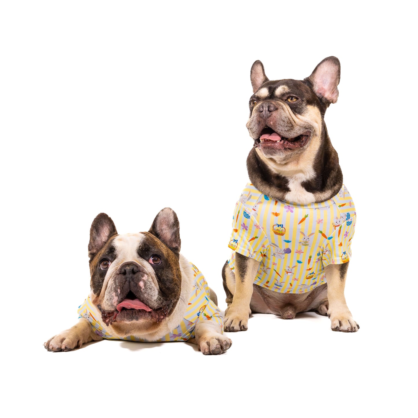 Happy Bunny Dog Shirt