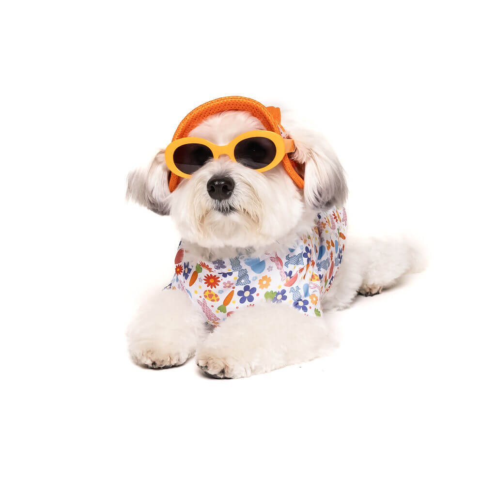 A small, fluffy white dog with light brown markings lies on a white surface, facing the camera. The dog is wearing a sleeveless white shirt with a pattern of pastel Easter eggs, carrots, flowers, and rabbits. It also has orange headphones with a padded headband and yellow oval-shaped sunglasses.