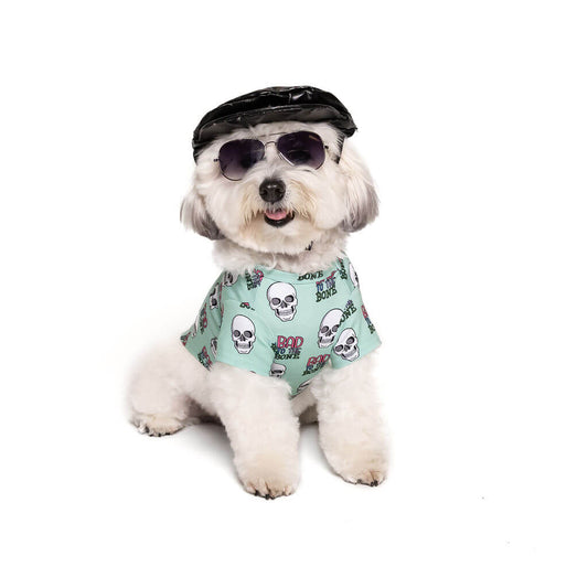 Havanese wearing Bad to the Bone Dog Shirt – mint green graphic skull dog tee styled with black cap and aviator sunglasses.