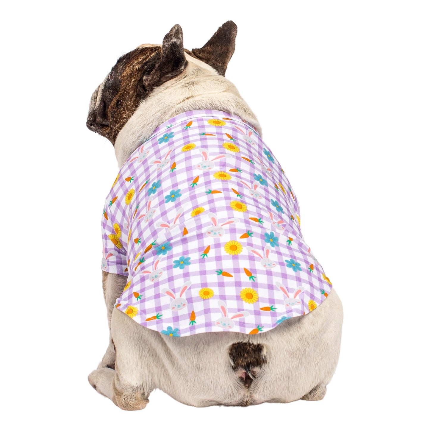 A French Bulldog wearing Vibrant Hounds Gingham Easter dog shirt. It is purple with Easter Bunnys printed on it.