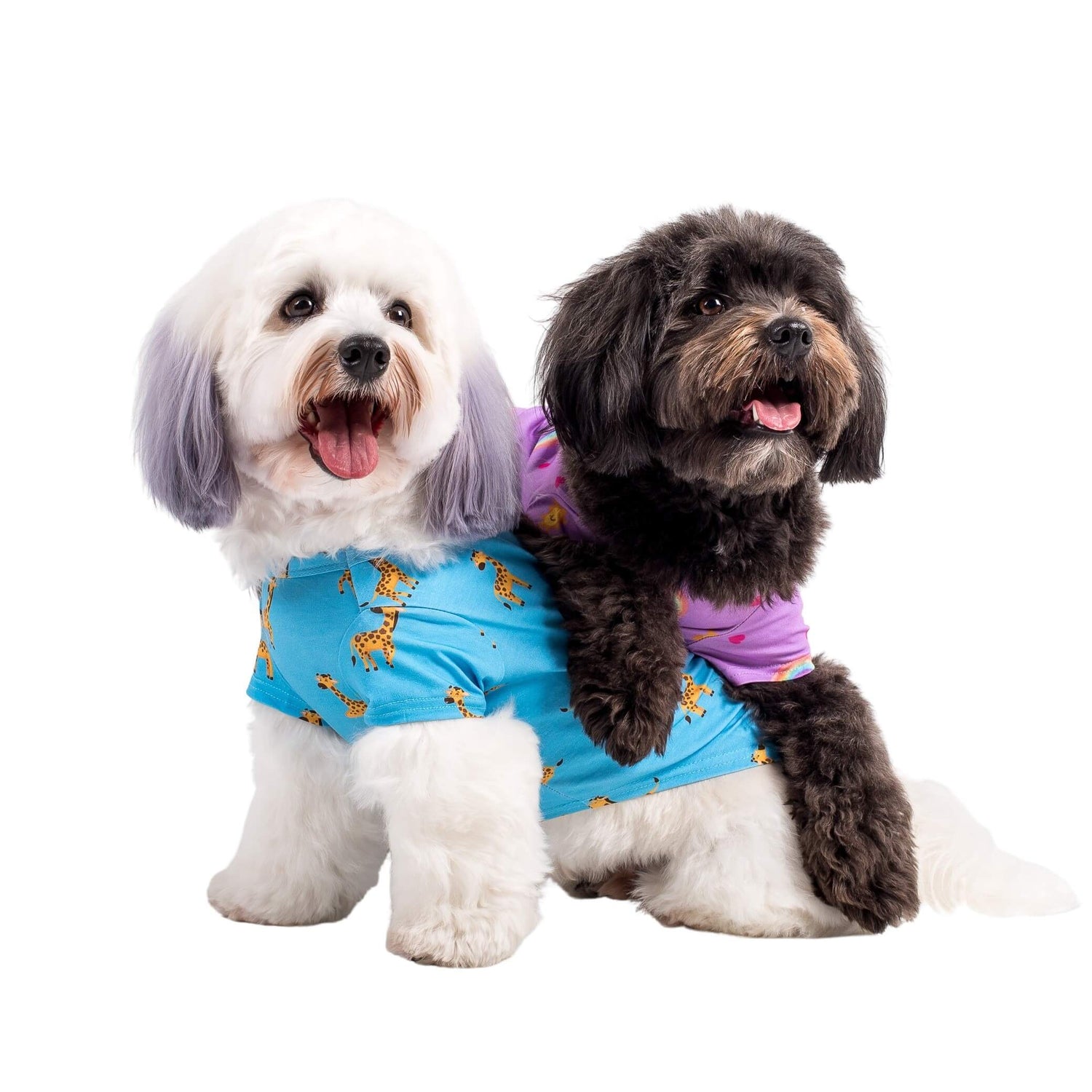 Two dogs wearing Vibrant Hound dog pyjamas. One shirt is white and blue with girrafes printed on it. The other shirt is purple with rainbows and love hearts printed on it.