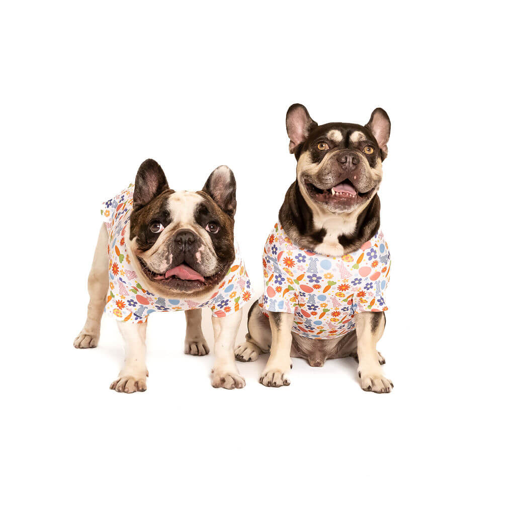 Two French Bulldogs are shown against a white background. On the left, a fawn and white French Bulldog stands facing forward with its tongue slightly out. On the right, a black and tan French Bulldog sits facing forward with its tongue visible. Both dogs are wearing identical, short-sleeved, white shirts with an all-over print of pink rabbits in various poses, blue and purple flowers with yellow centers, orange carrots with green tops, and light blue and pink Easter eggs.