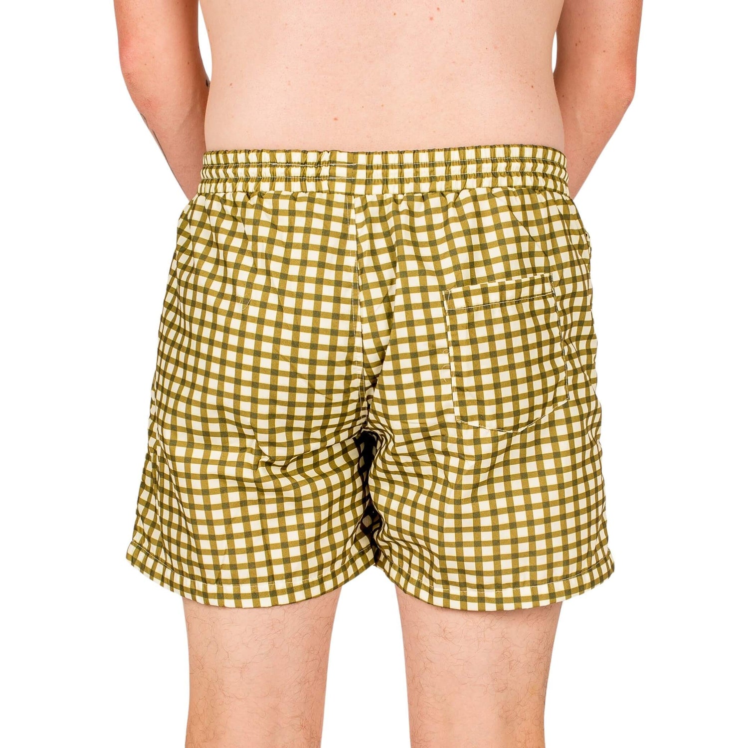 Close up of the rear of Vibrant Hounds Green Gingham swimwear.