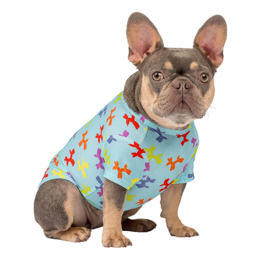 A lilac and tan French Bulldog wearing Vibrant Hounds Balloon dog cooling shirt. It is blue with balloon dog shapes printed on it.