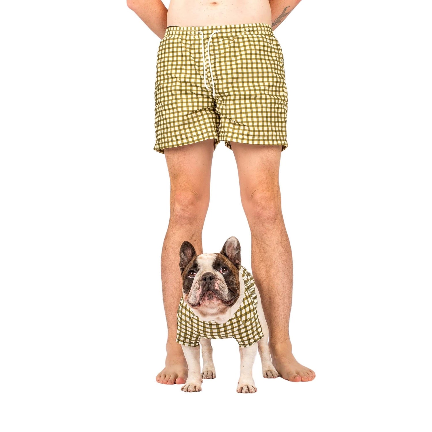 A close up shot showing a human wearing VIbrant Hounds Green Gingham swimshorts and a French Bulldog wearing Vibrant Hounds Green Gingham Rash shirt.