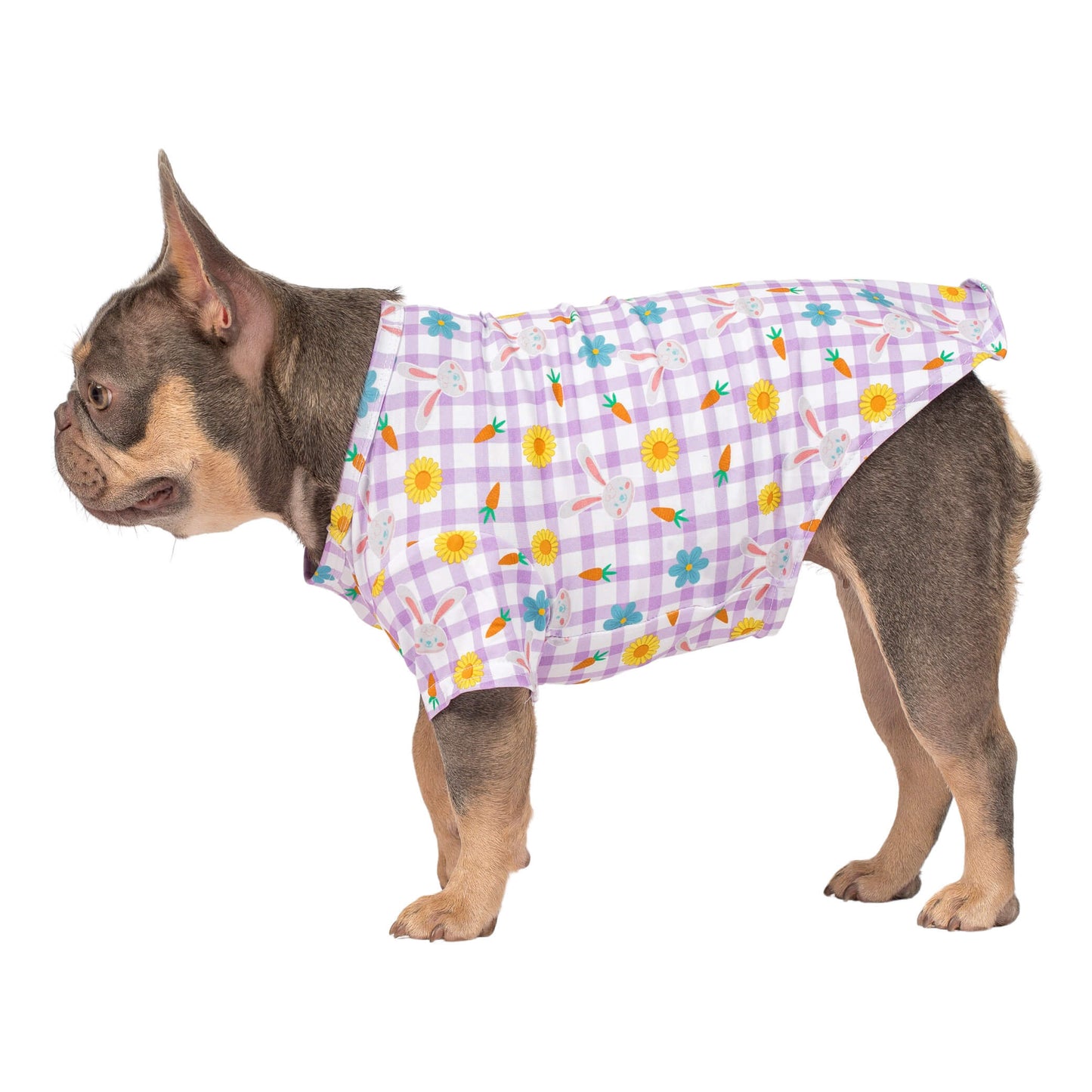 A Lilac tan French Bulldog standing side on. The French Bulldog is wearing a purple gingham dog shirt with bunnies and sun flowers print.