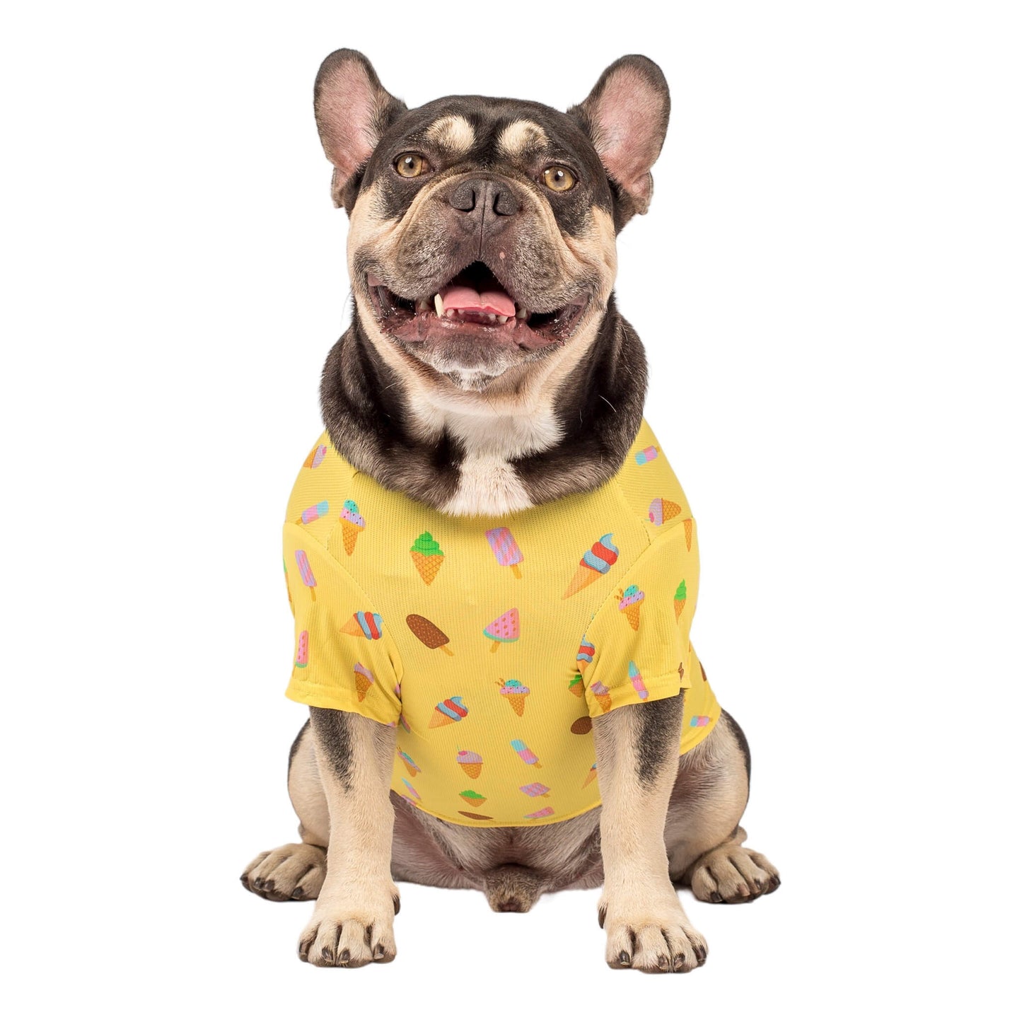 A French Bulldog sitting while Vibrant Hounds Ice-cream dream cooling shirt. The shirt is yellow with ice creams and ice blocks printed on it.