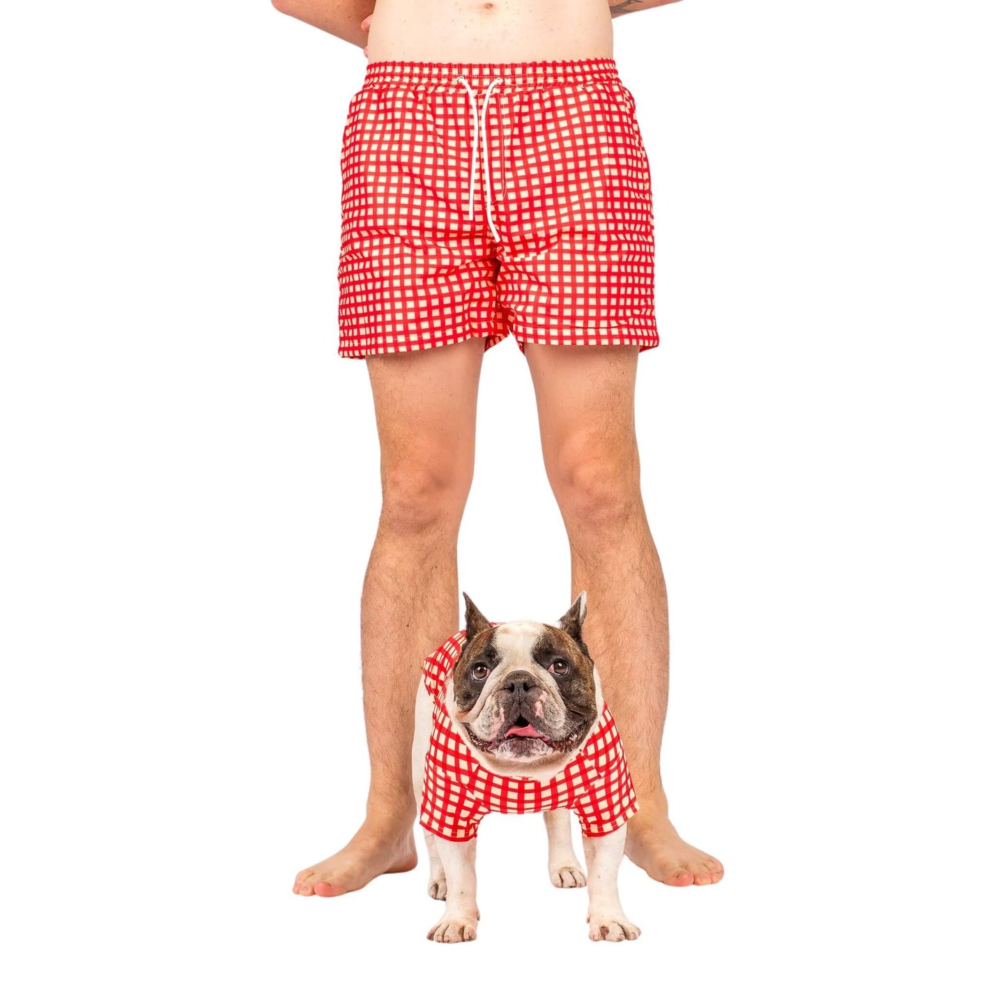French Bulldog standing front on and Male model wearing matching Vibrant Hound Red Gingham swimwear.