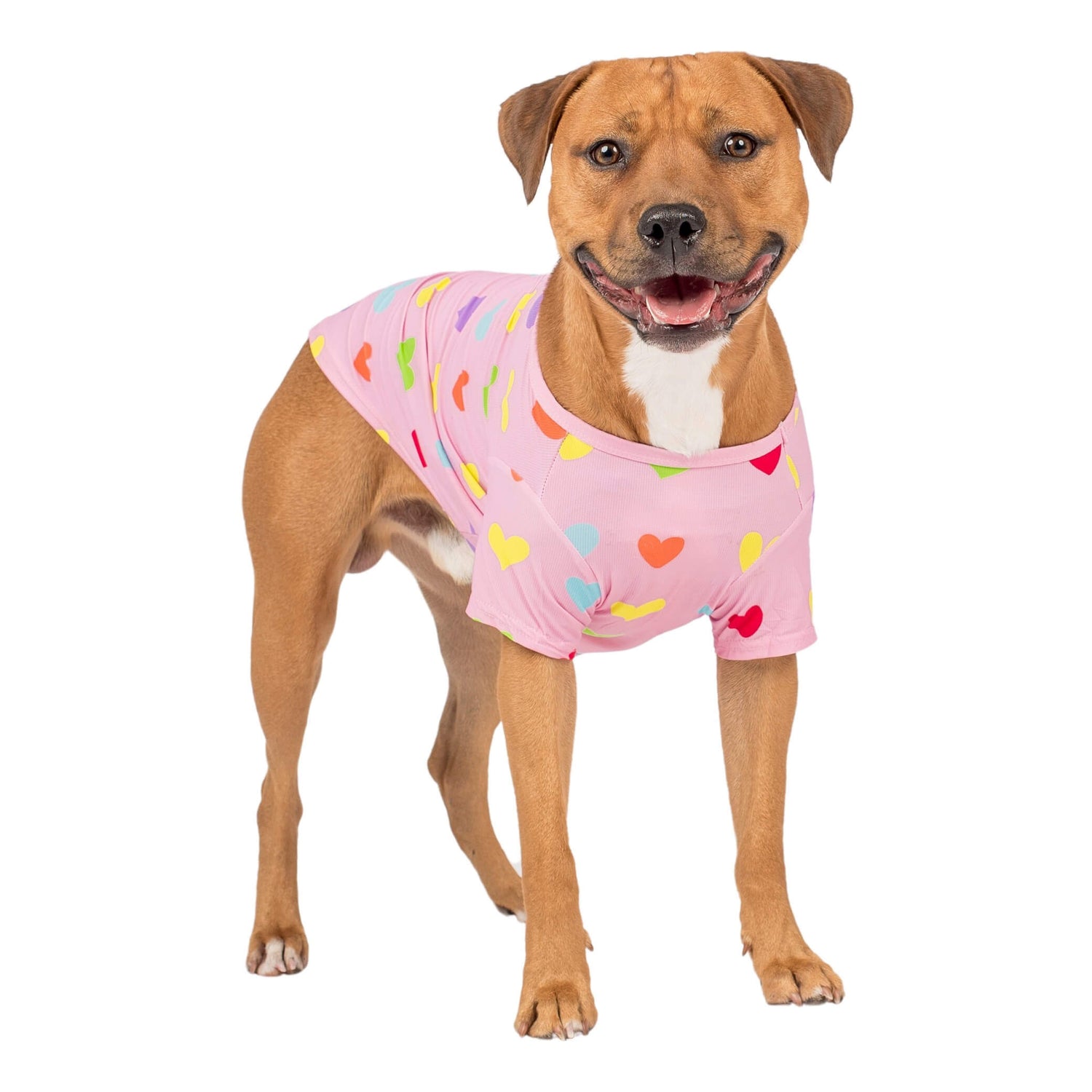 A Staffy standing looking forwards wearing a pink shirt with orange, blue, yellow, and green love hearts printed on it.  This shirt for dogs is designed to be wet to cool dogs down.