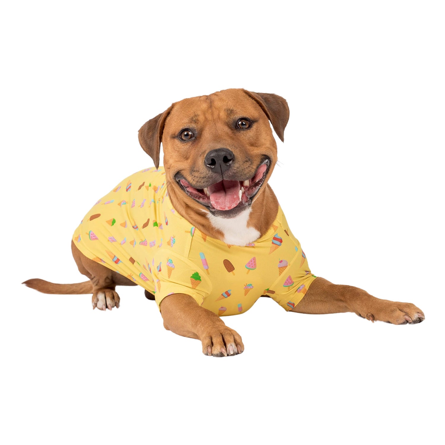 A Staffy wearing Vibrant Hounds Ice-cream dream cooling shirt. The shirt is yellow with ice creams and ice blocks printed on it.