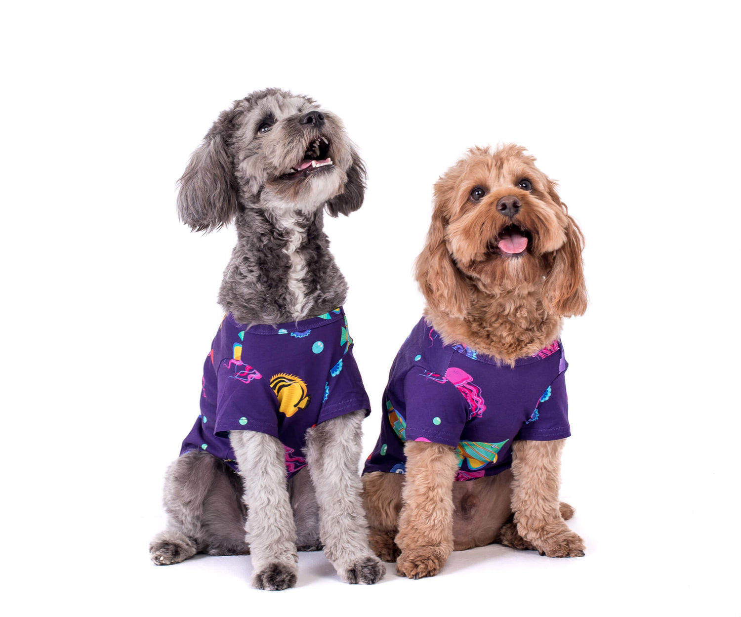 A photo of two caboodles wearing the 'Magic Sea' shirt from Vibrant Hound. The shirt is purple and adorned with vibrant tropical fish. The caboodles are facing the front, showcasing the colorful design.