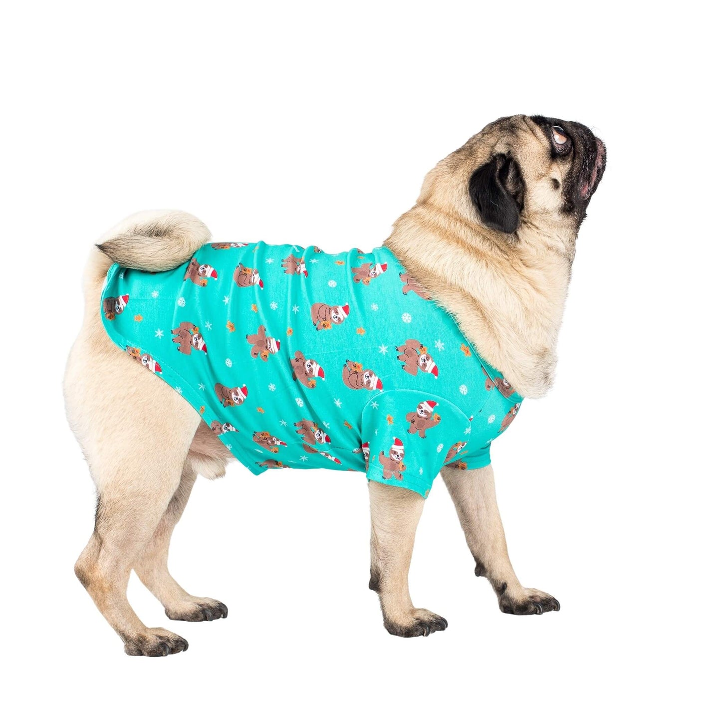 Stylish Pug in Festive Sloths Dog Shirt - Adorable Pug Dog Wearing a Green Christmas Shirt with Sloths in Santa Hats - Get Your Pug Ready for the Holidays with Trendy Dog Clothing - Shop Now for Dog Shirts and Dog Clothing.