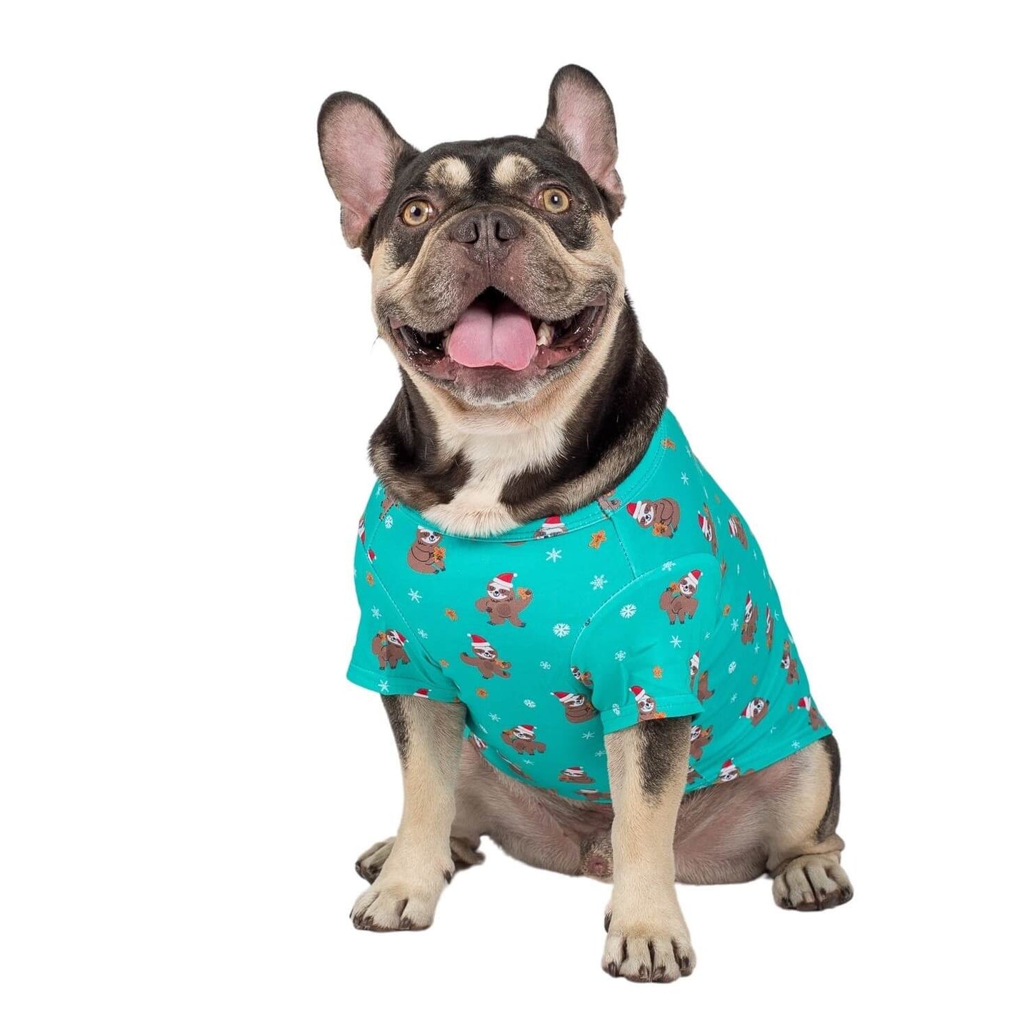 Fergus the French Bulldog wearing Vibrant Hounds Festive Sloths shirt for dogs. It is a green shirt with sloths wearing santa hats, and snow flakes.