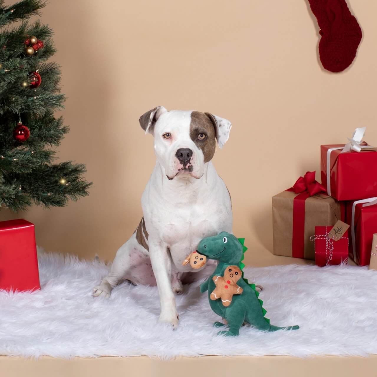 Side photo of Fringe Studio's Christmas oh snap! T-rex and cookies plush squeaker dog toy.