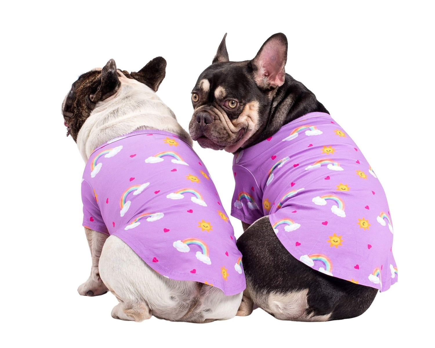 Close up of two French Bulldogs facing away from the camera wearing Vibrant Hound's Chasing Rainbow dog pyjama. The dog shirt is purple with rainbows, bright suns, and love hearts printed on it.
