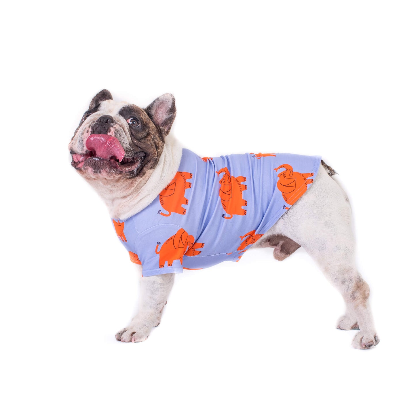 Electric Elephant dog shirt side profile on French bulldog