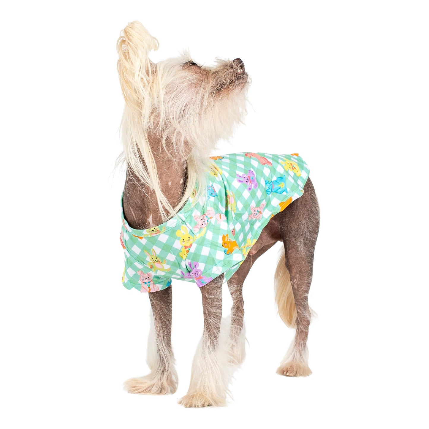 Rainbow Rabbit Easter dog shirt