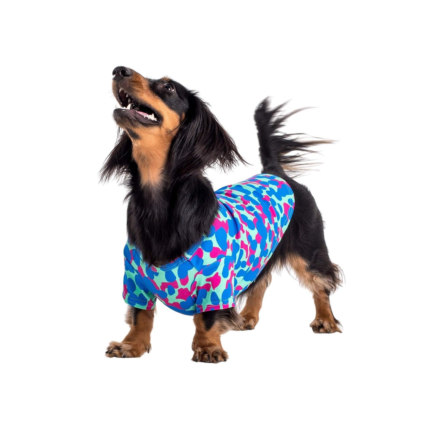 Ellie the Dachshund standing side on to the camera. It is wearing a Painted on dog shirt made by Vibrant Hound. The print is pink and blue blobs.