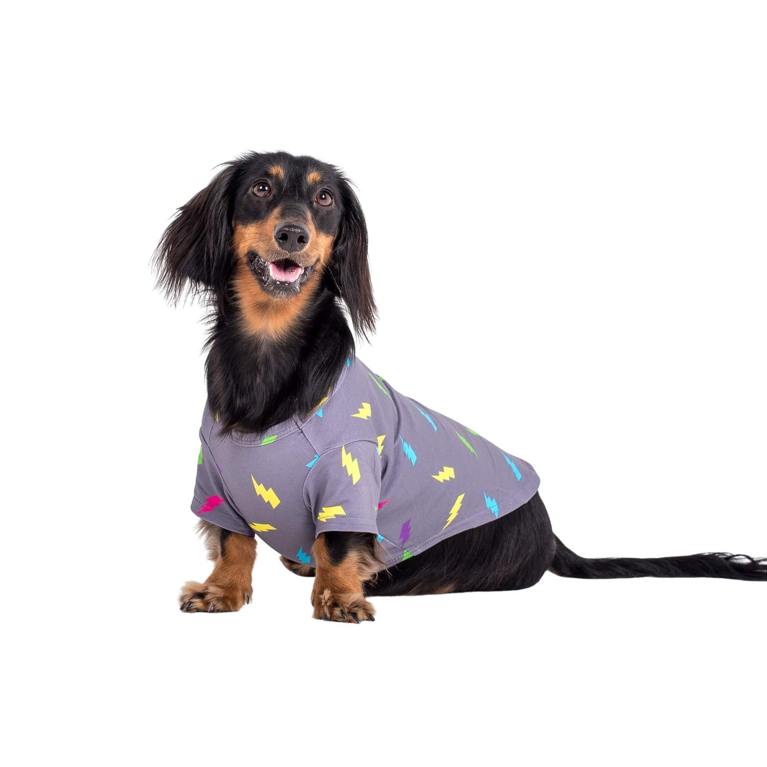 Dachshund facing the camera. The dog is wearing an Electric Energy dog pyjammas madfe by Vibrant hOUND.