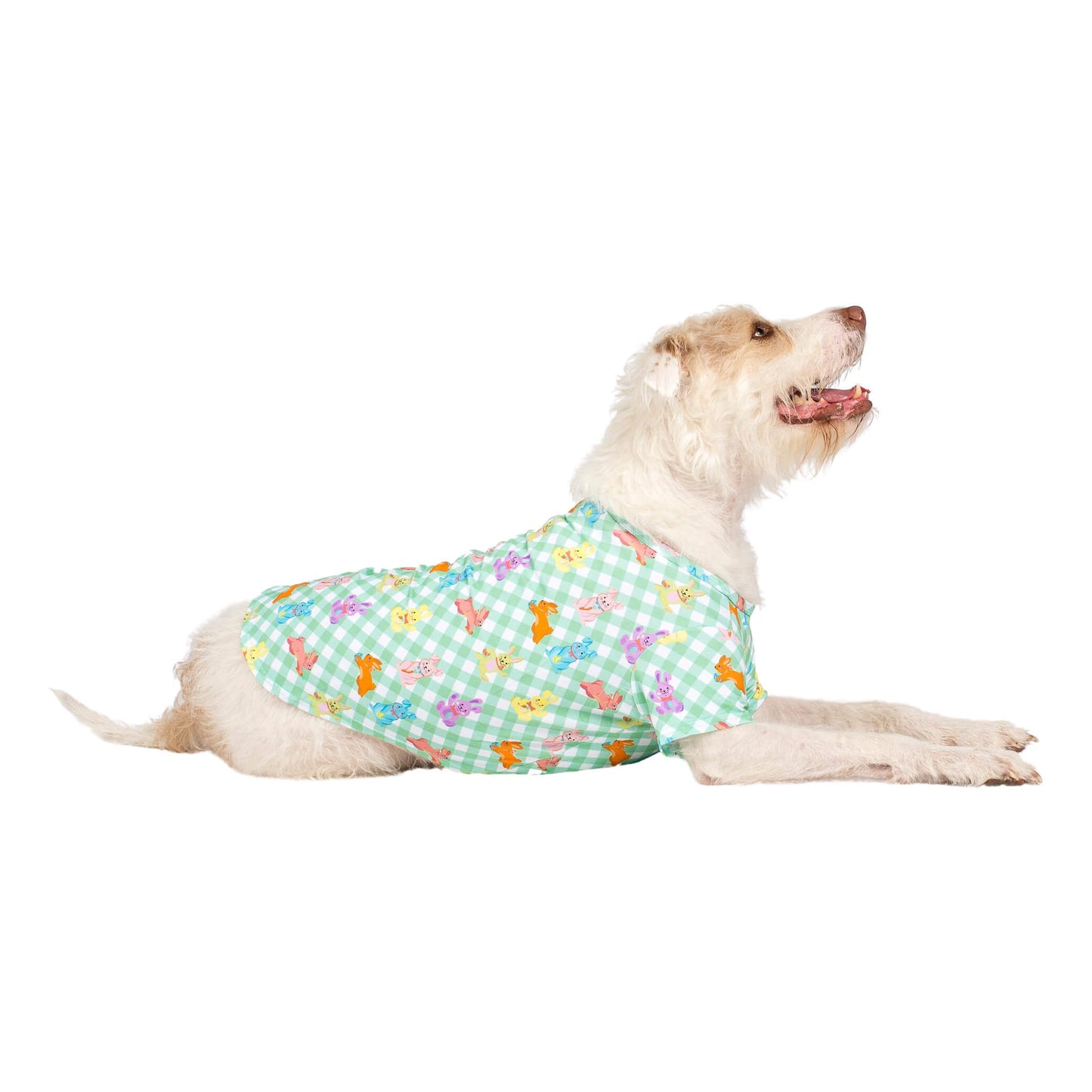 Rainbow Rabbit Easter dog shirt