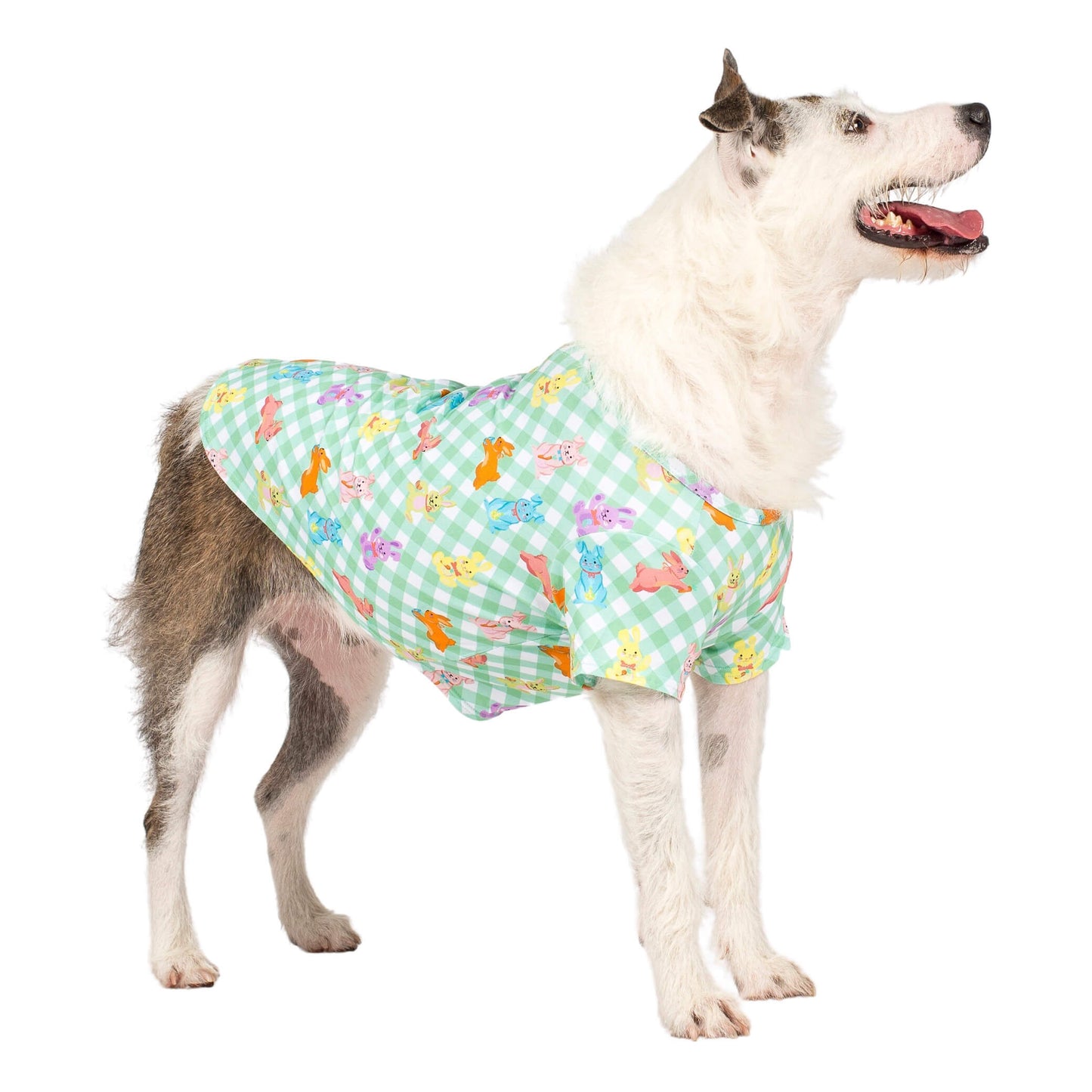 Rainbow Rabbit Easter dog shirt