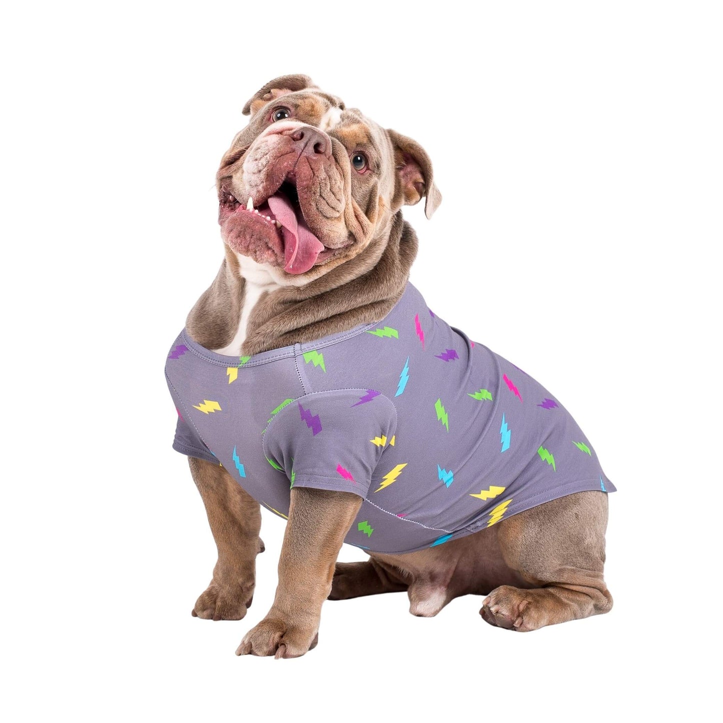 English Bulldog wearing Electric Energy dog shirt