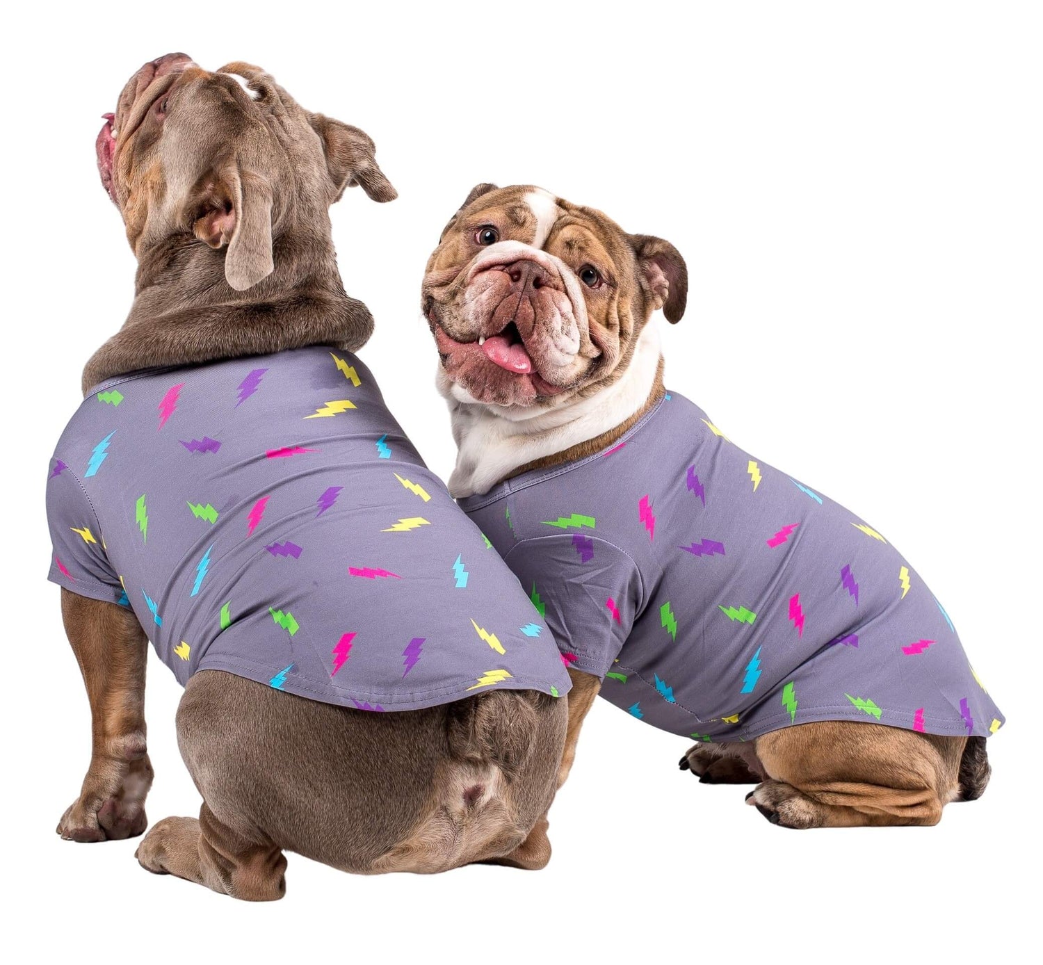 Two english bulldogs facing away from the camera. They are wearing a Electric Energy dog shirt madfe by Vibrant Hound.
